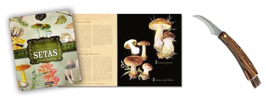 pack-micologo-aprendiz