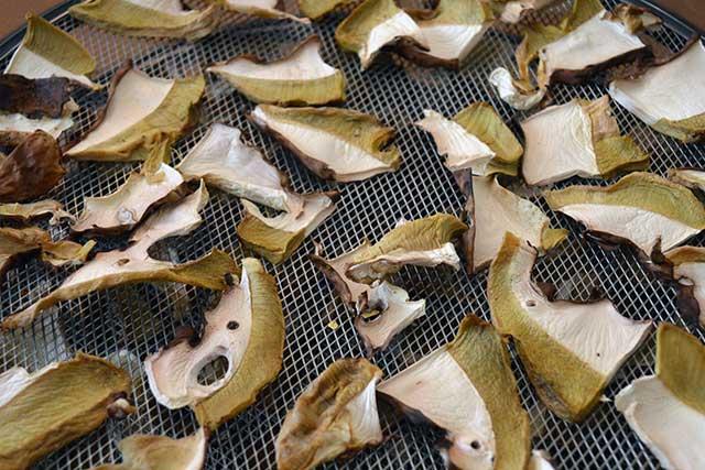 setas-deshidratadas1