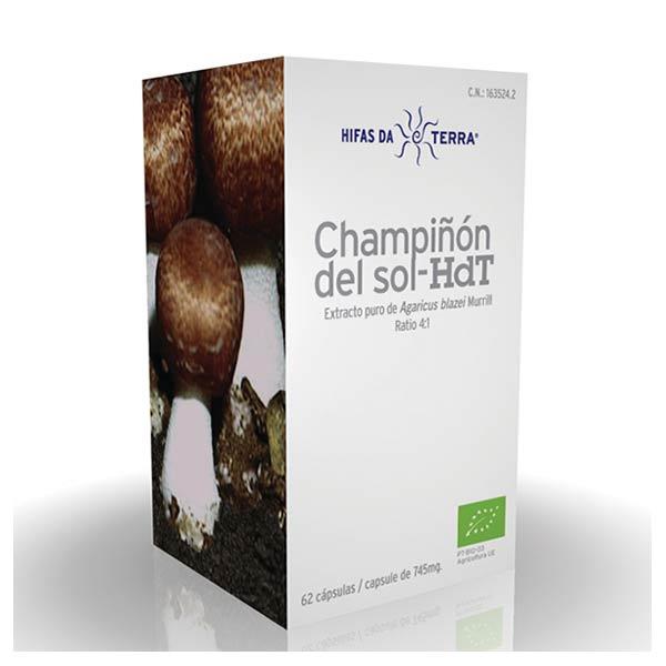 ChampiñonSol_HdT