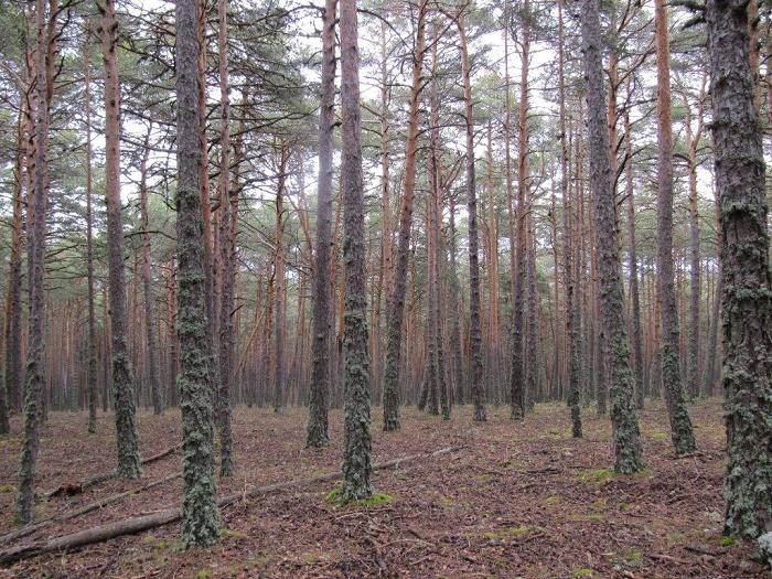sierra de albarracin