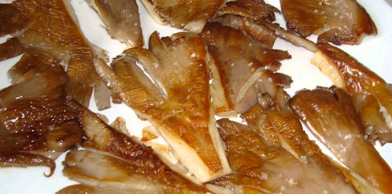 seta-ostra-a-la-plancha