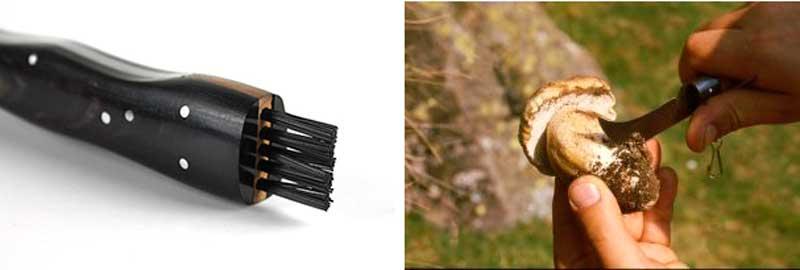 limpiar-setas-con-navaja