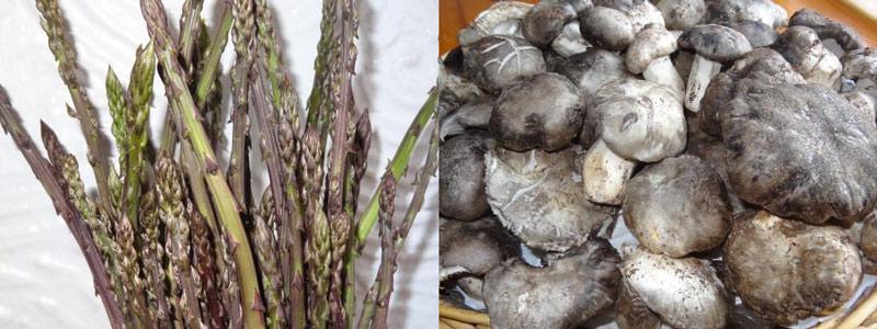 marzuelos-y-esprragos