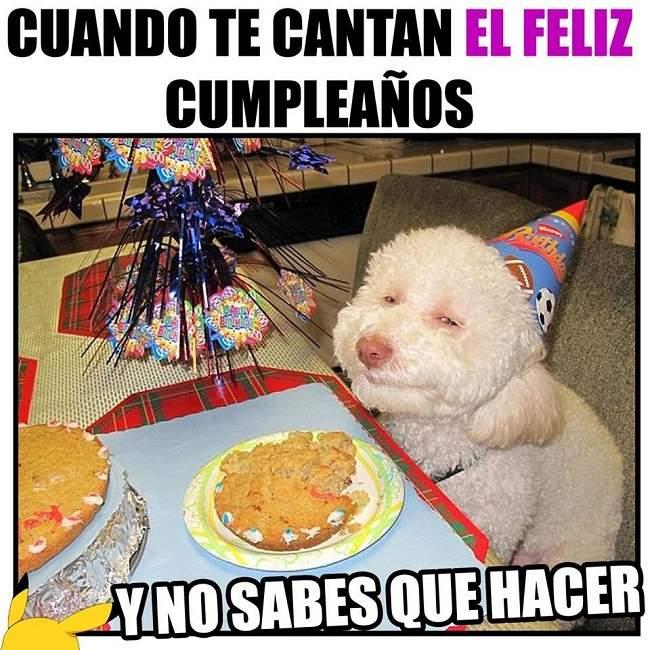 Felicitaciones de cumpleaños originales y graciosas para WhatsApp Facebook Telegram o email imagenes originales de cumpleaños frases mensajes y dedicatorias divertidas para felicitar y celebrar el cumpleaños