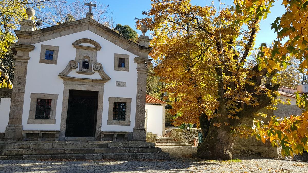 Vista de la Capilla de Nossa Senhora do Faro y el castaño centenario.