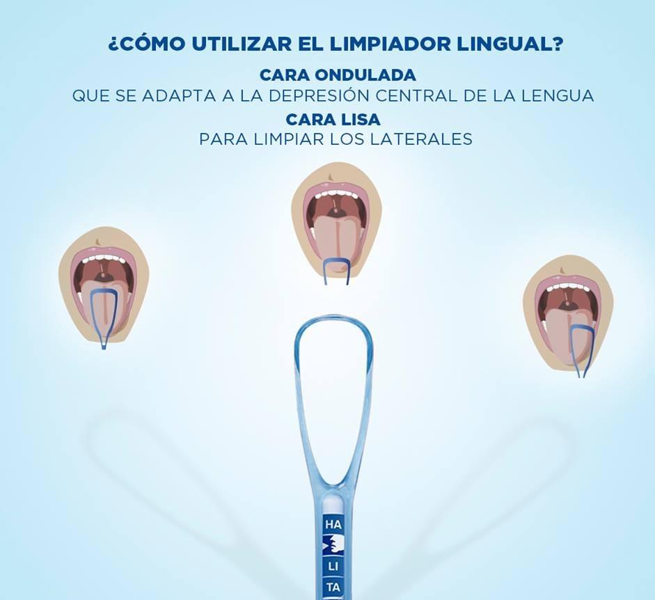 limpiador lingual