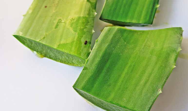 Fijador de maquillaje casero y natural - Trucos de belleza caseros