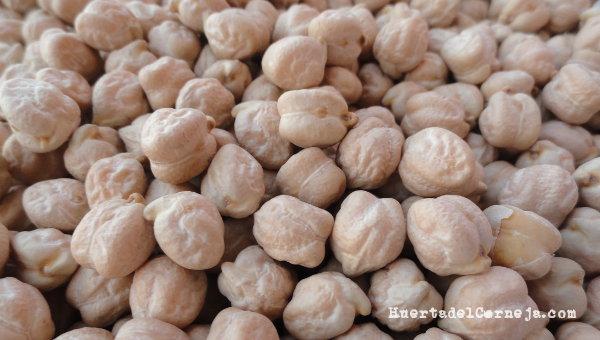 Garbanzos