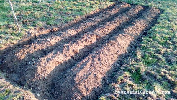 Preparando la siembra de garbanzos
