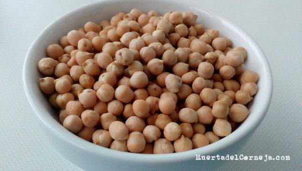 Garbanzos tipo desi