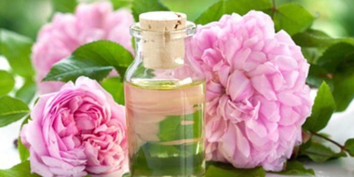 aceite de rosa damascena