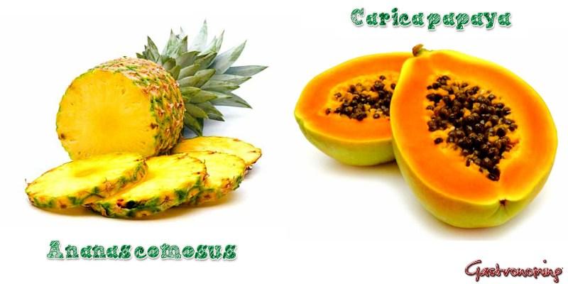 Piña y Papaya gastronoming