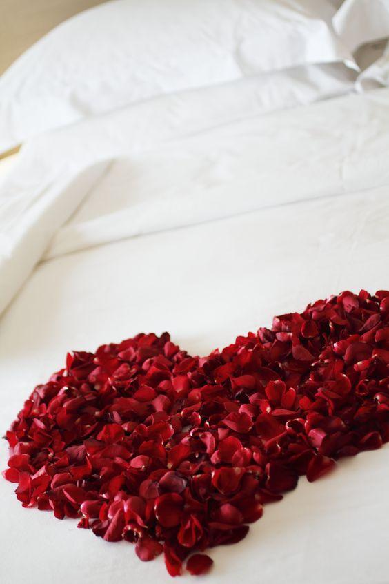 495b6a5c6bafb79b93c68a4b0a1dcef7