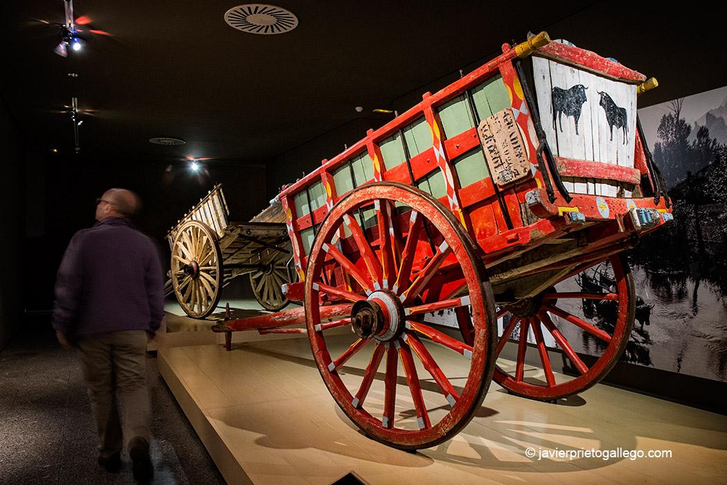 Carros en la sala dedicada al transporte del Museo Etnográfico Provincial de León. Mansilla de las Mulas. León. Castilla y León. España. © Javier Prieto Gallego