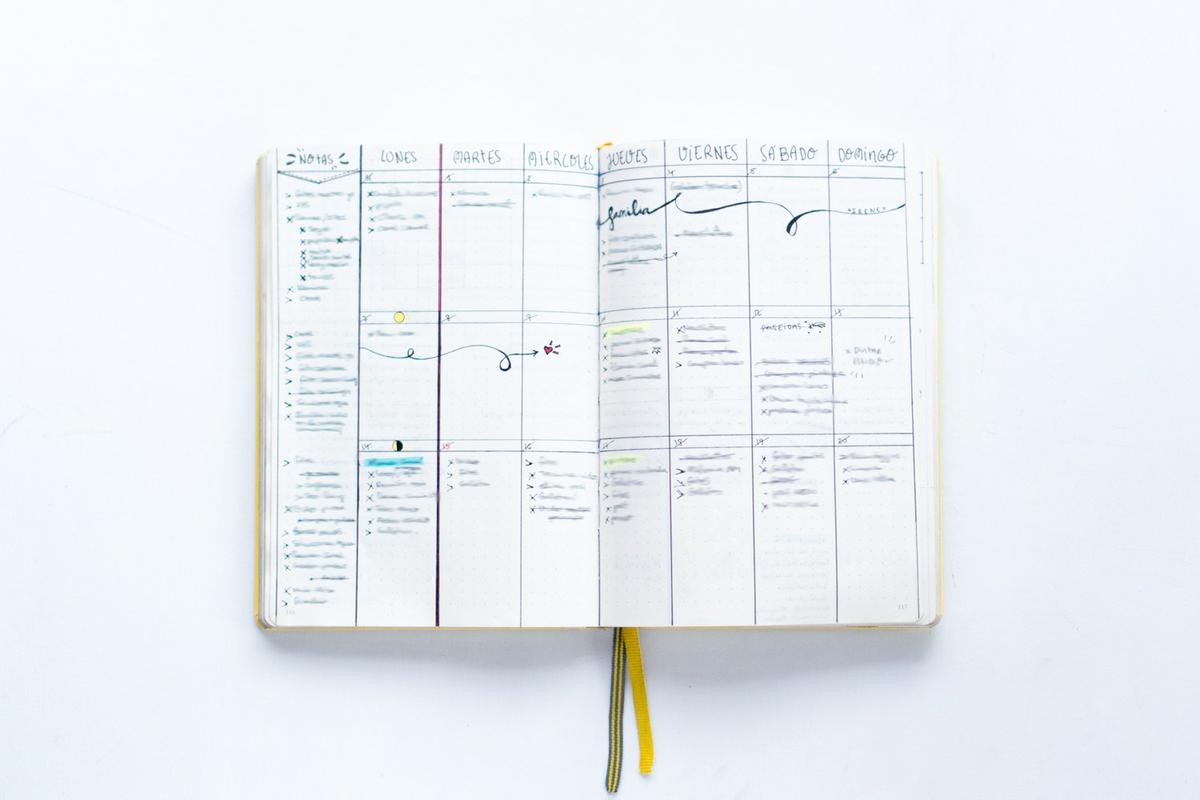 Mi Bullet Journal en 2017