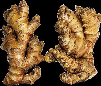 Plantas Medicinales Curativas