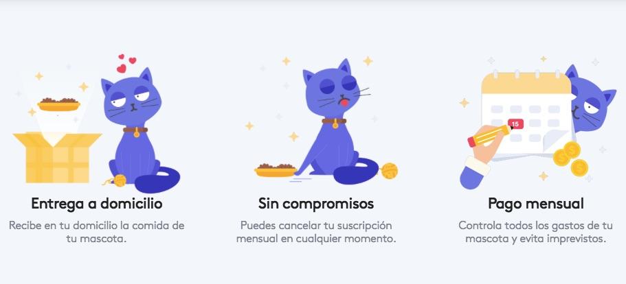 Waggle, el primer servicio integral de suscripción mensual para mascotas