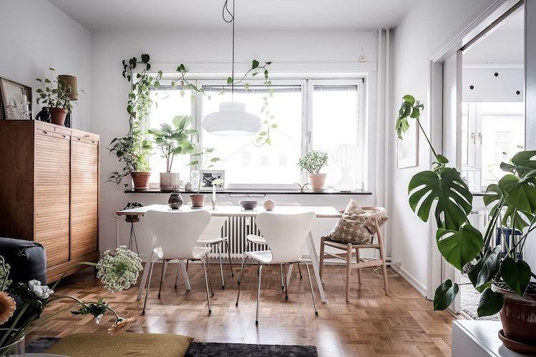 scandinavian style plants apartamento sueco
