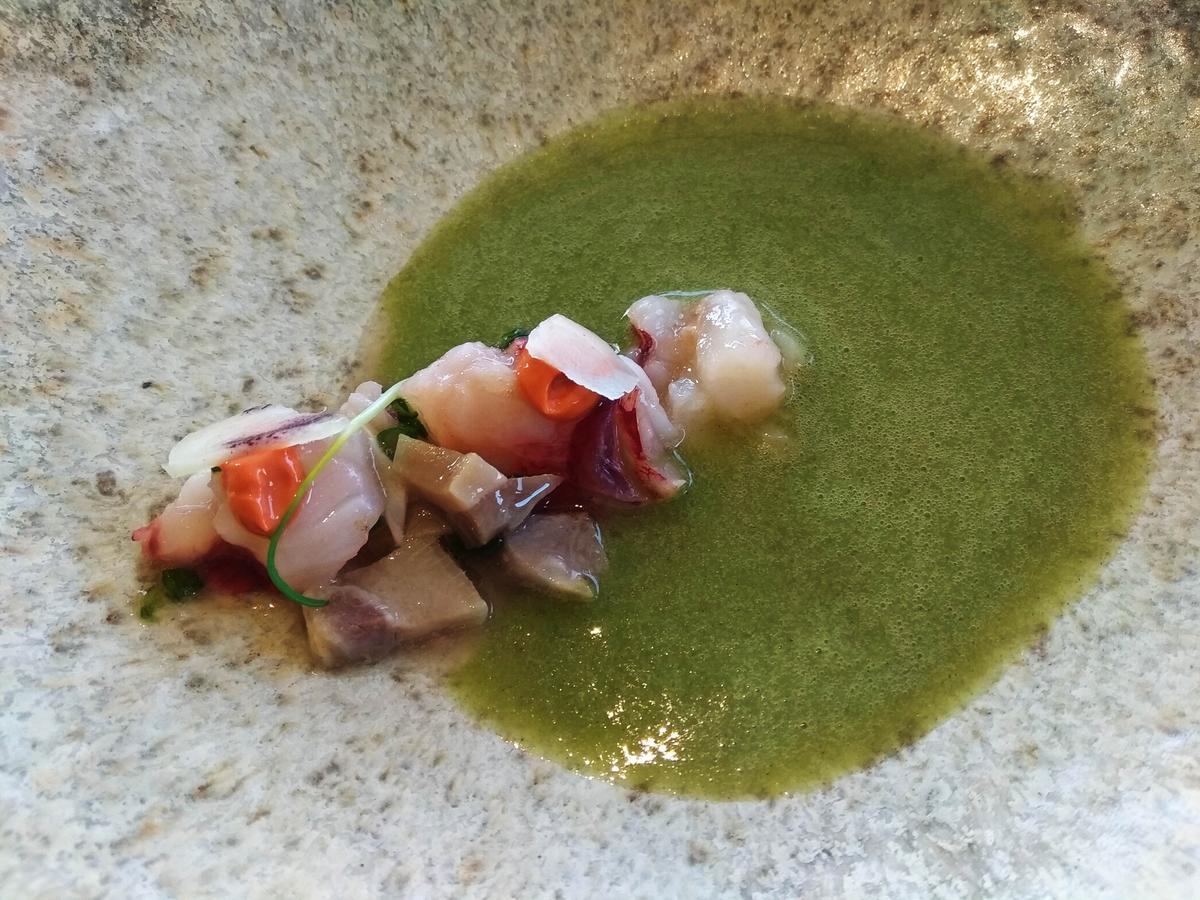 Bogavante, Morro de cerdo y Fondo Marino