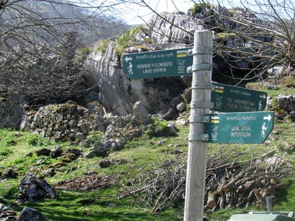Nos adentramos en el bosque Palomberu