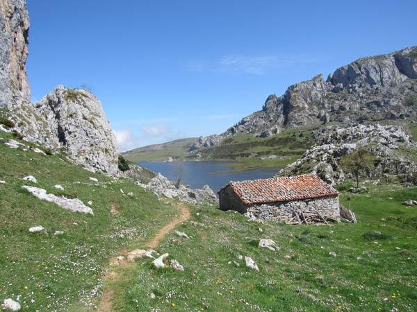 Verde y azul, perfecto contraste