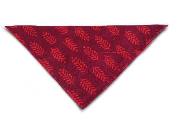 Las consignas de Carnaval