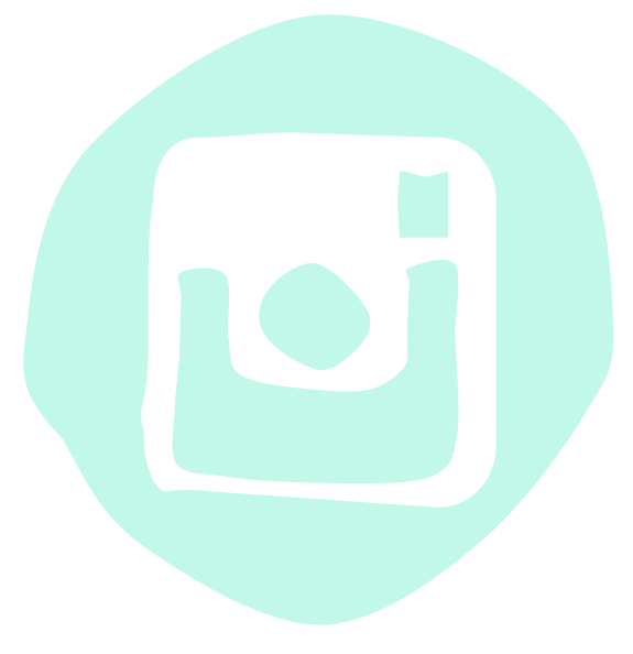 ICONO INSTAGRAM BEMYDECO