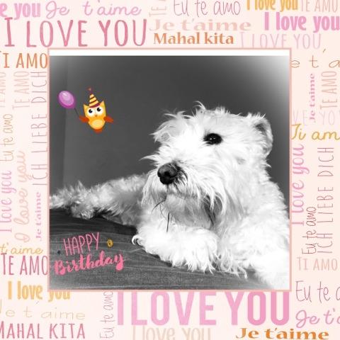 28052768_10213670653594847_356733520_n