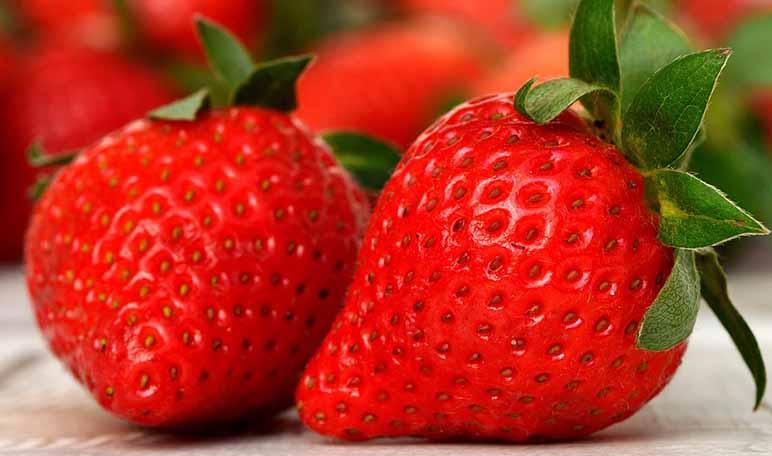 Mascarilla de yogur, fresa y miel para una piel luminosa - Trucos de belleza caseros