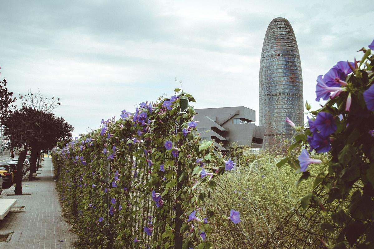 Torre Agbar de Barcelona