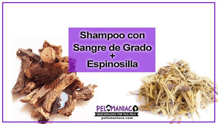 sangre de grado y espinosilla para el cabello