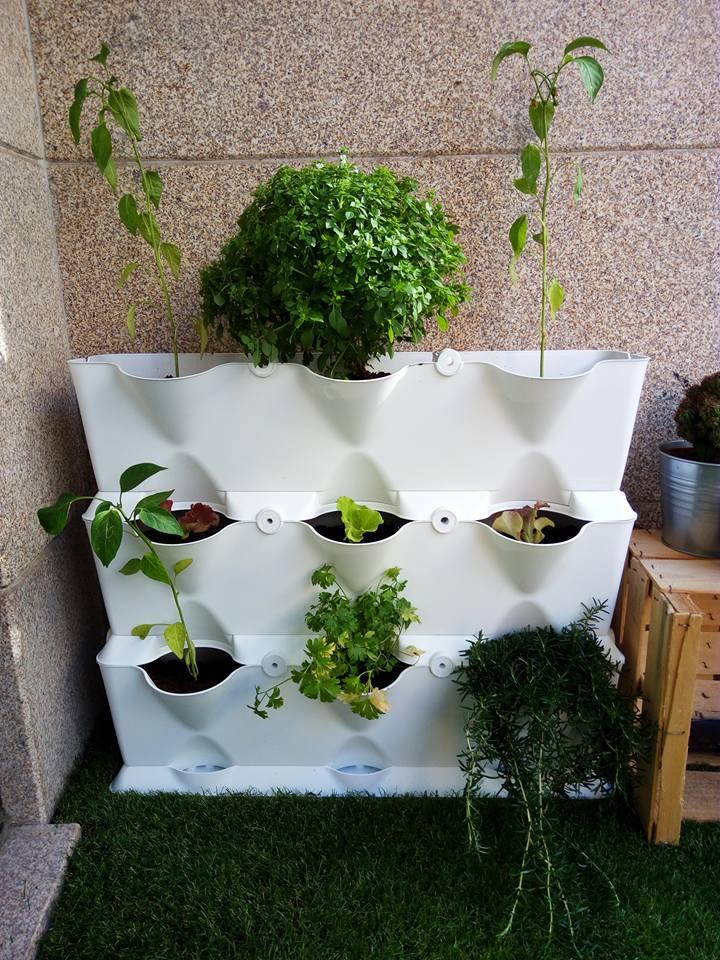 huerto-urbano-balcon-antes-y-despues-de-un-salon