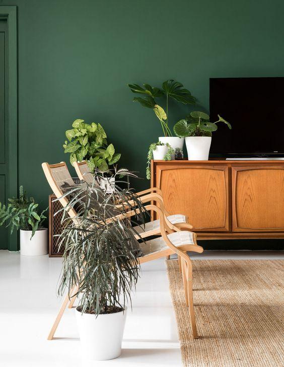 salon pared verde