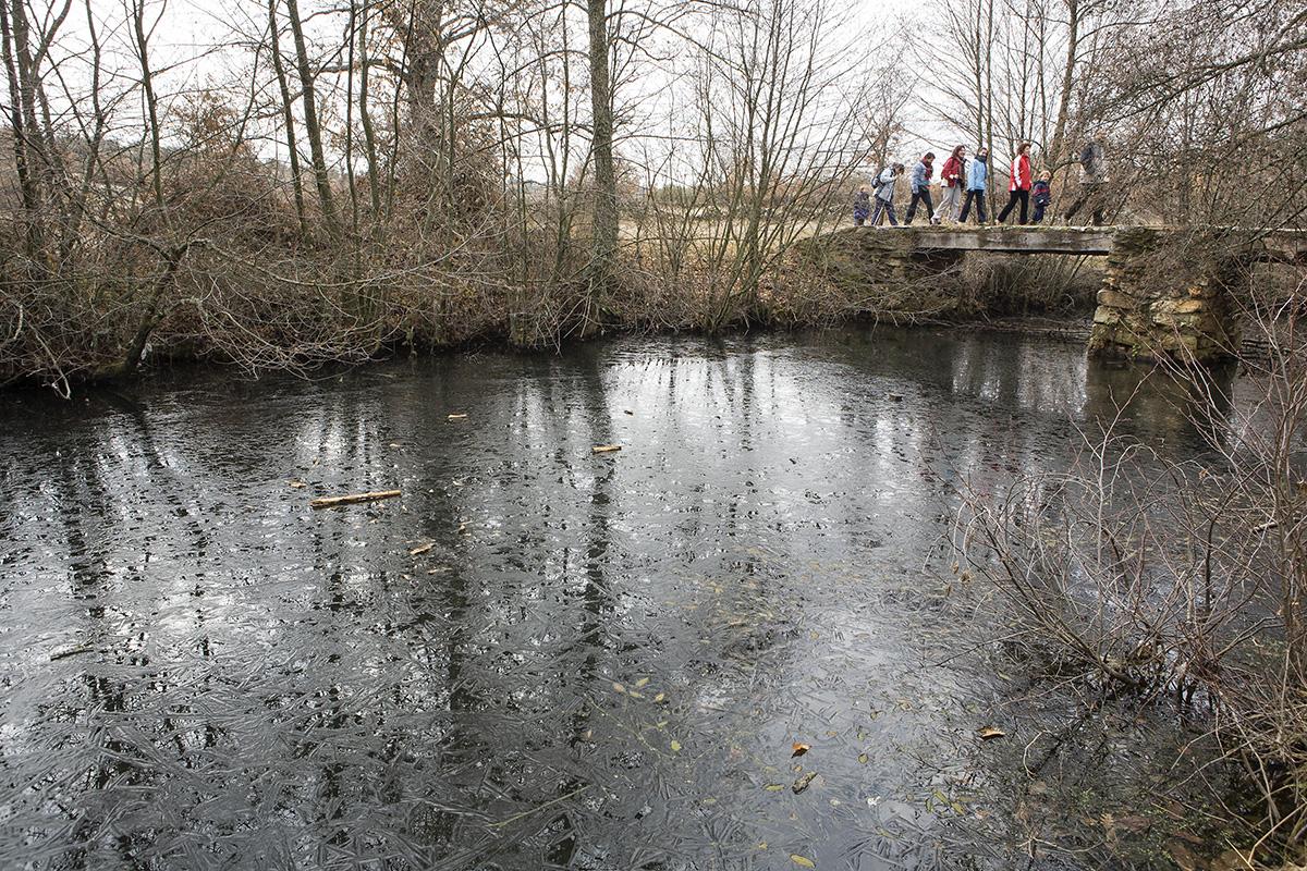 Río Aliste entre Mahíde y Pobladura. Comarca de Aliste. sierra de la Culebra. Zamora. Castilla y León. España. © Javier Prieto Gallego