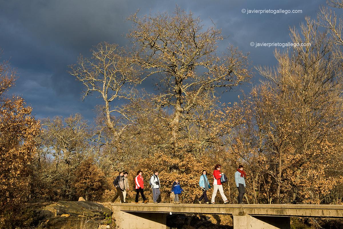 Río Aliste entre Mahíde y Pobladura. Comarca de Aliste. Sierra de la Culebra. Zamora. Castilla y León. España. © Javier Prieto Gallego