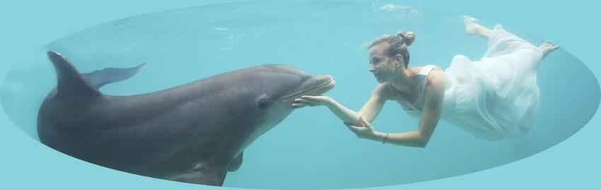 El vestido de la novia bajo el agua