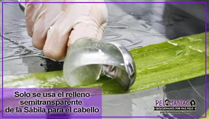 como preparar la sabila para el cabello