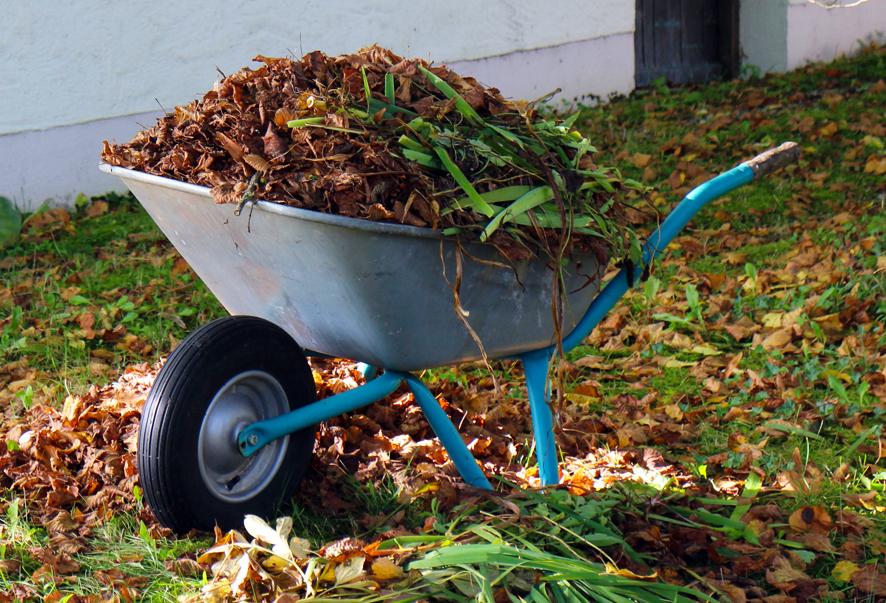 3 claves para mantener impecable nuestro jardín