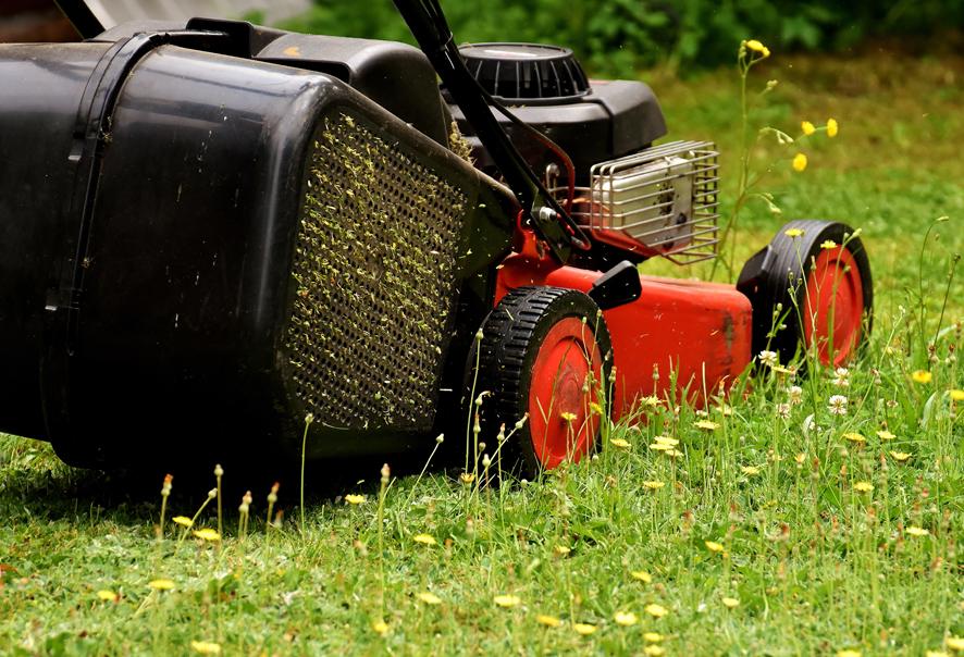 3 claves para mantener impecable nuestro jardín