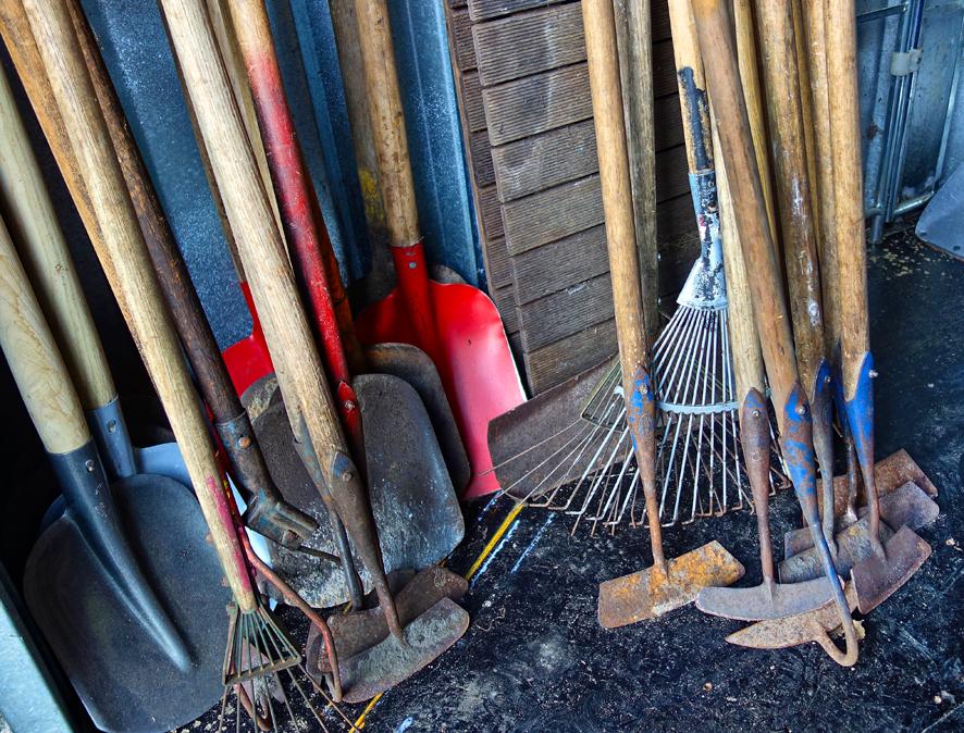 3 claves para mantener impecable nuestro jardín