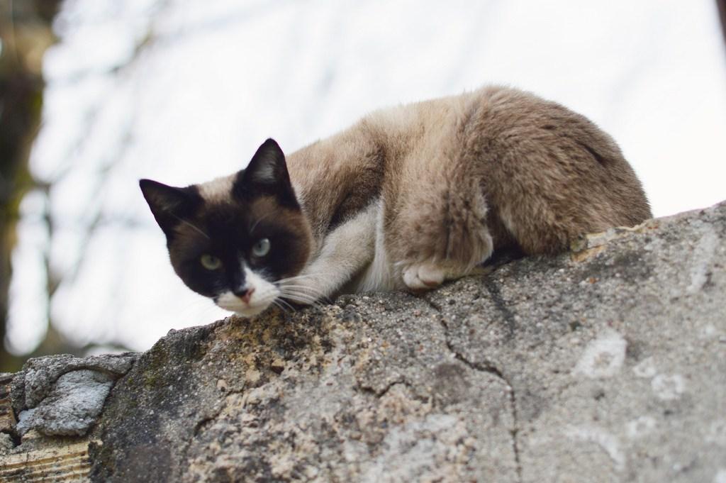 mix-tendencias-2018-luz-tiene-un-blog (5)