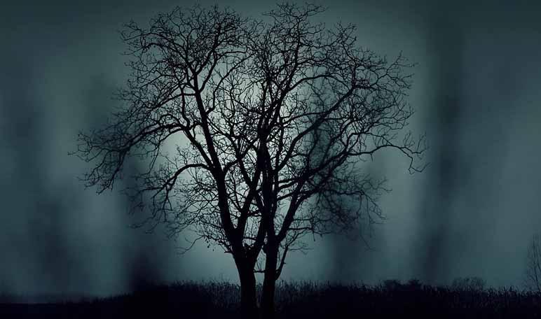 10 libros de terror que tienes que leer