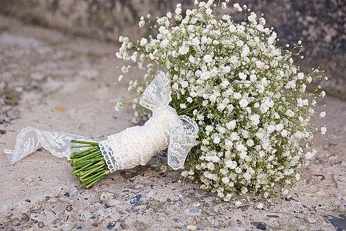 Bouquet blanco de paniculata