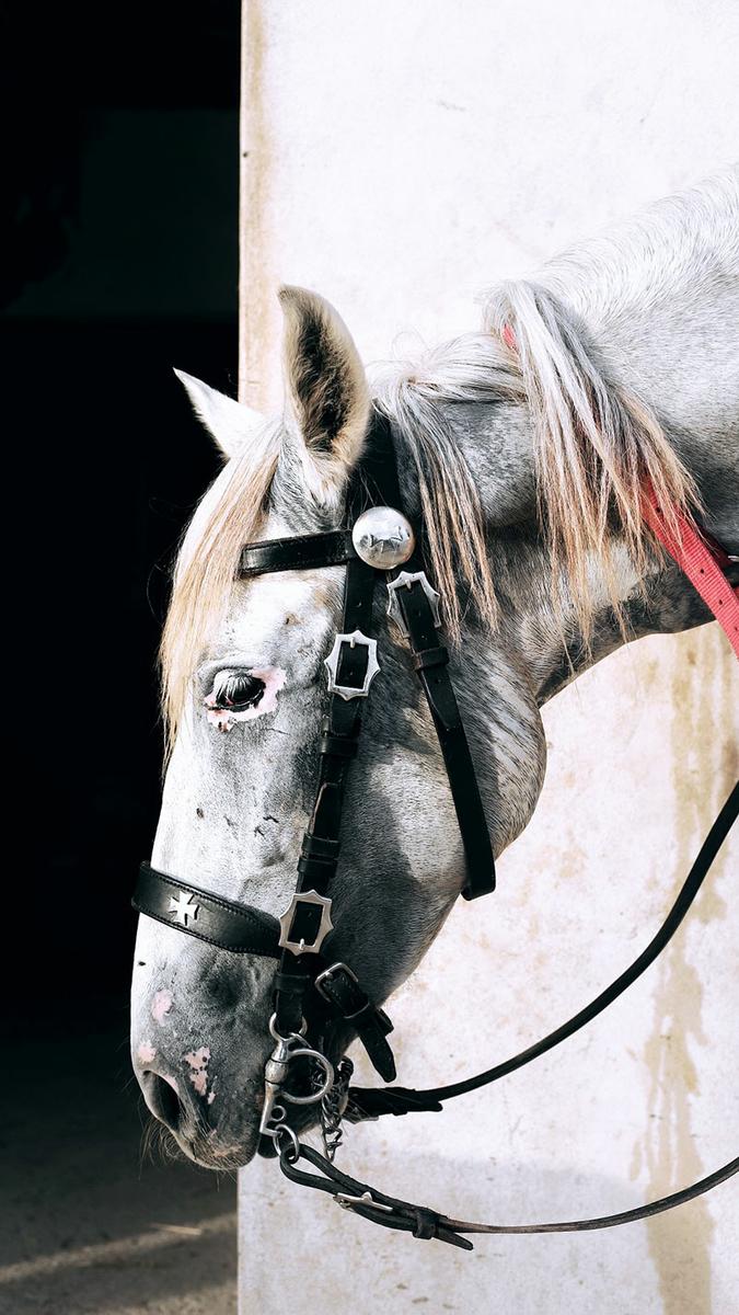 Viajar-a-Formentera-en-primavera-by-©MariaAlgaraRegas-Rutes-es-Boixets