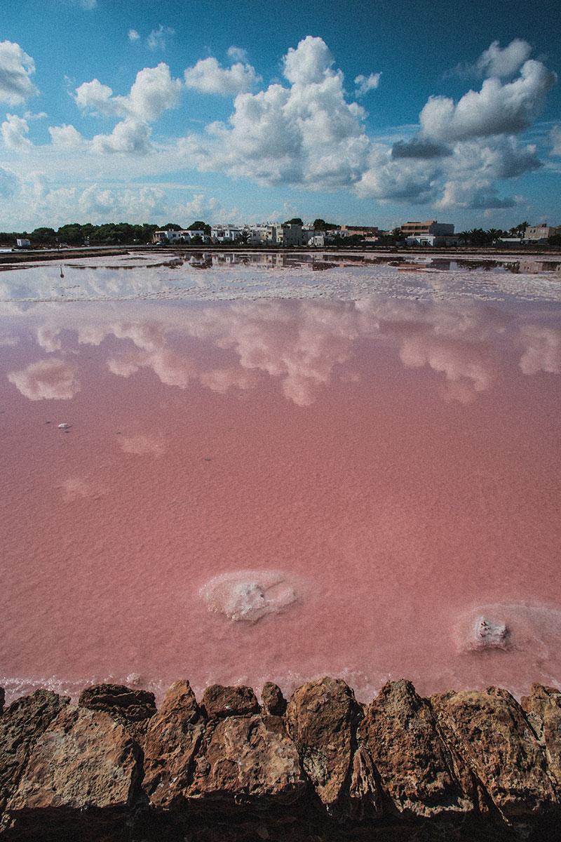 Viajar-a-Formentera-en-primavera-pink-salines-by-©MariaAlgaraRegas-13