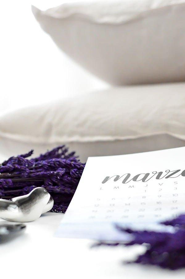 DESCARGABLE de MARZO