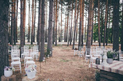 Celebración en un pinar