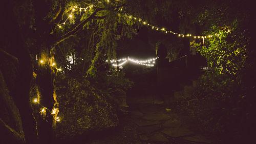 Banquete de boda en el bosque