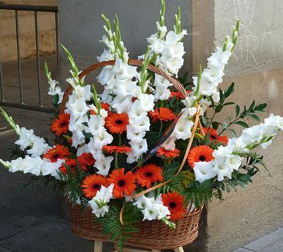 Flores para la Virgen