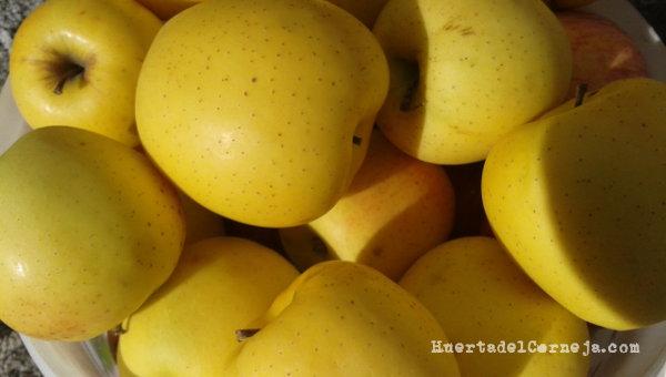 Manzanas golden para el consumo familiar